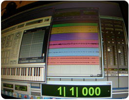 ProTools LE 8.0.5. Reason 5.0. Ableton Live 8.2.2. FL Studio 10 Producer Sound Forge 10. Guitar Rig 4